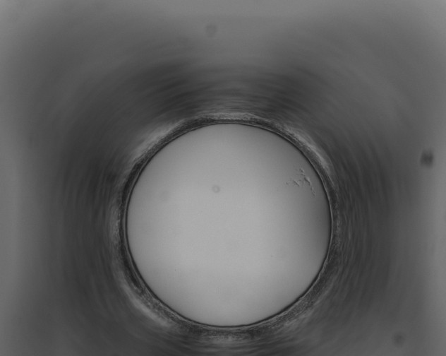 X0000094820533200711161030