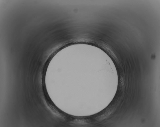 X0000094820534200711161030