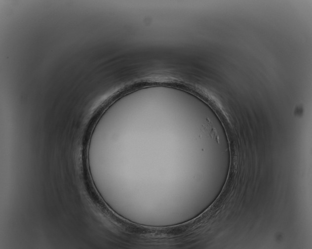 X0000094820535200711161030