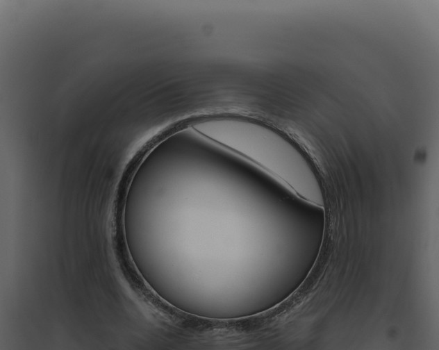 X0000094820536200711161030