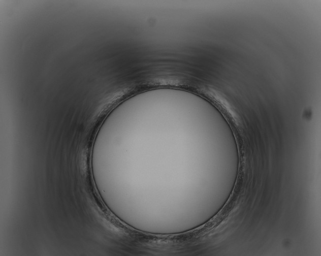 X0000094820537200711161030