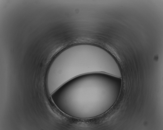 X0000094820538200711161030