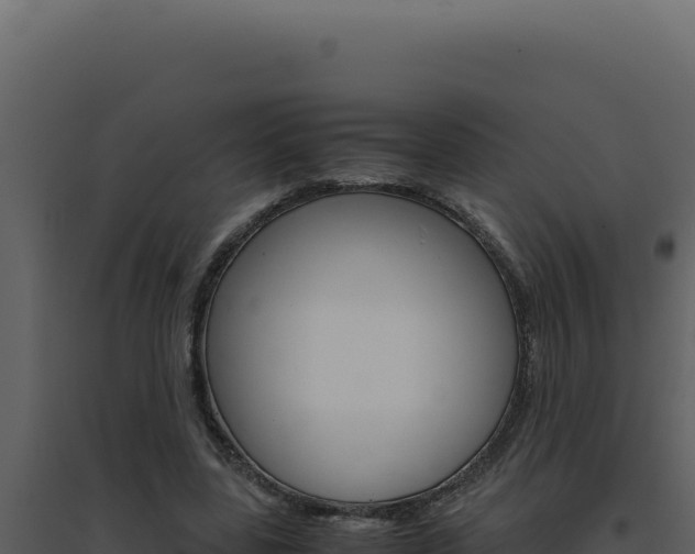 X0000094820539200711161030