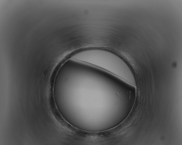 X0000094820540200711161030
