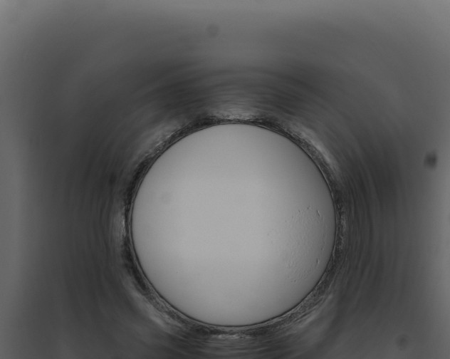 X0000094820541200711161030