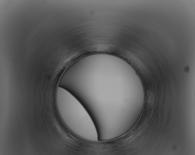 X0000094820542200711161030