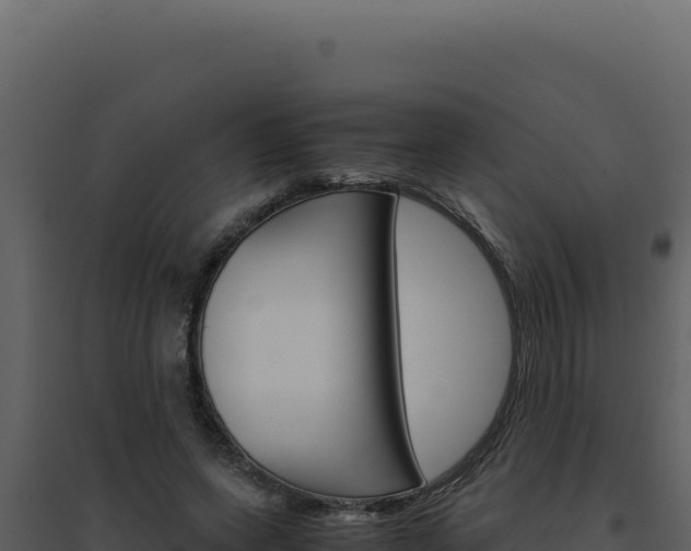 X0000094820543200711161031
