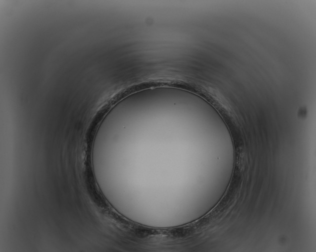 X0000094820544200711161031