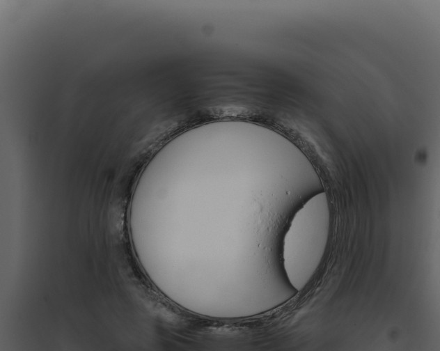 X0000094820545200711161031