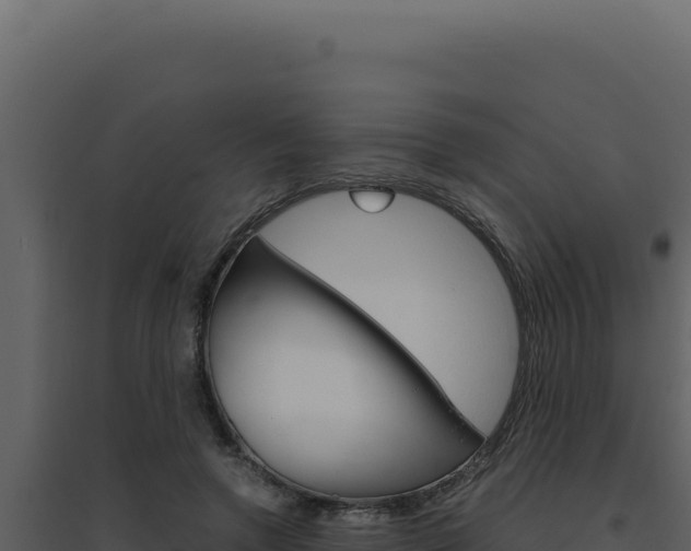 X0000094820546200711161031