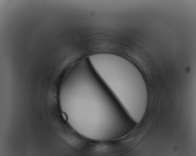 X0000094820547200711161031