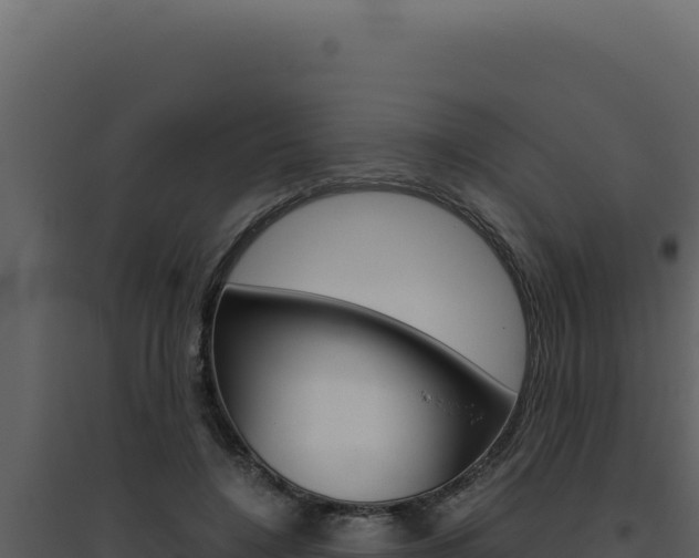 X0000094820548200711161031