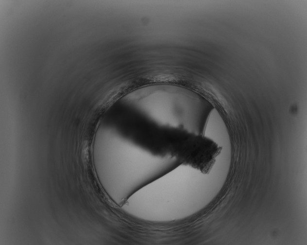 X0000094820549200711161031