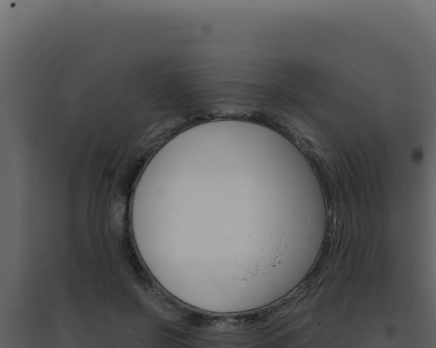 X0000094820550200711161031