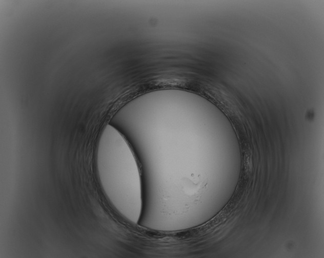 X0000094820551200711161031