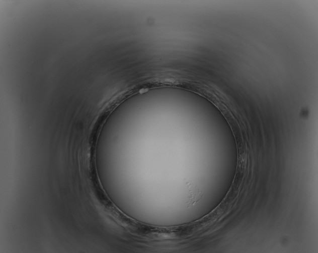 X0000094820552200711161031