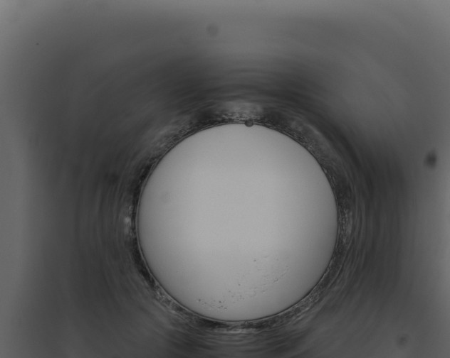 X0000094820553200711161031