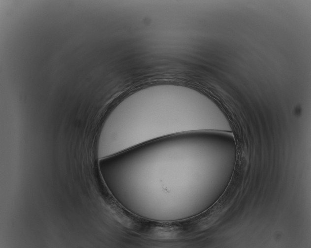 X0000094820556200711161031