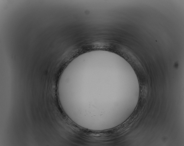 X0000094820557200711161031