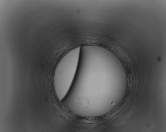 X0000094820563200711161031