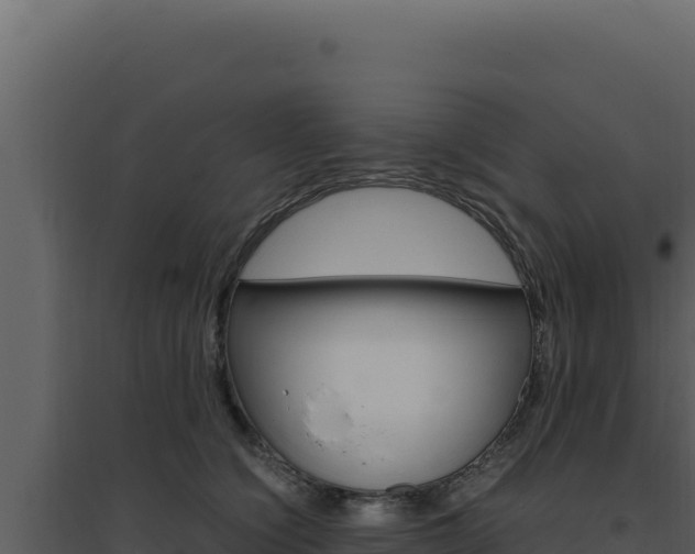 X0000094820564200711161031