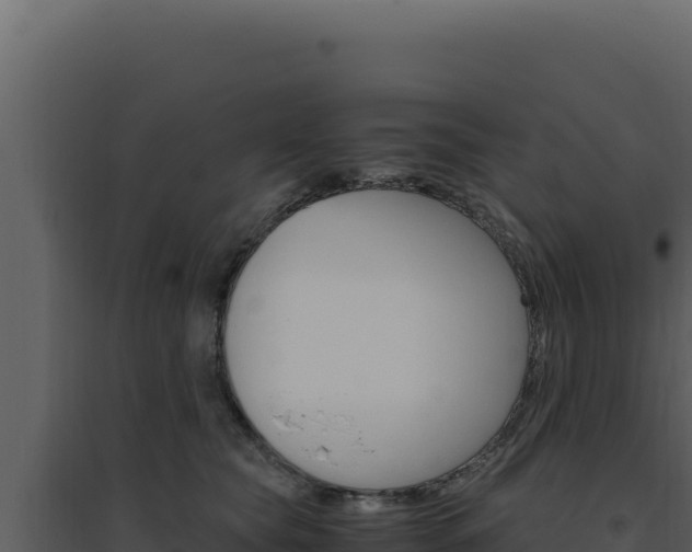 X0000094820565200711161031