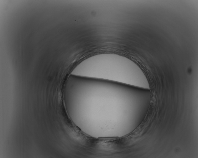 X0000094820568200711161031