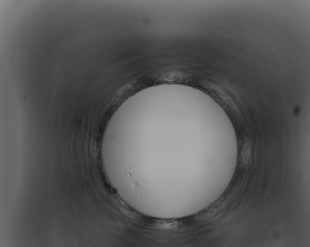 X0000094820569200711161031