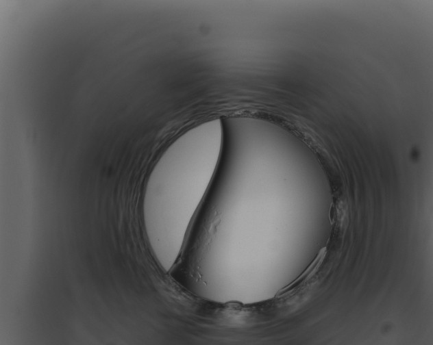 X0000094820570200711161031