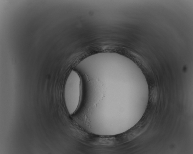 X0000094820571200711161031