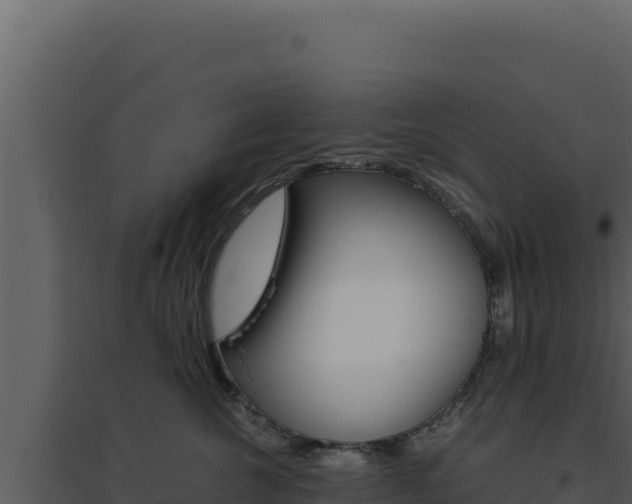 X0000094820572200711161031