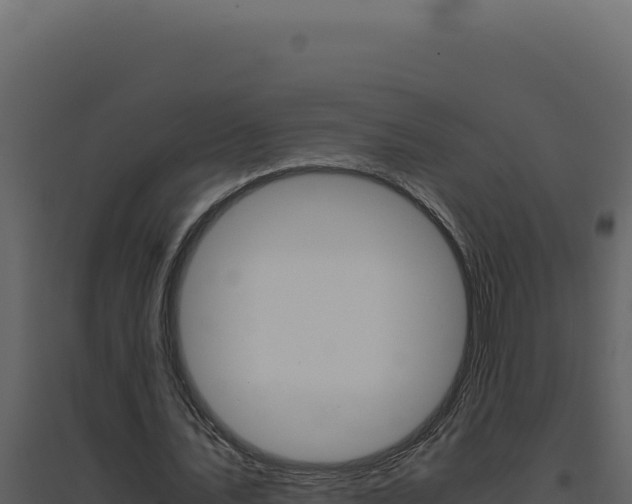 X0000094820579200711161030