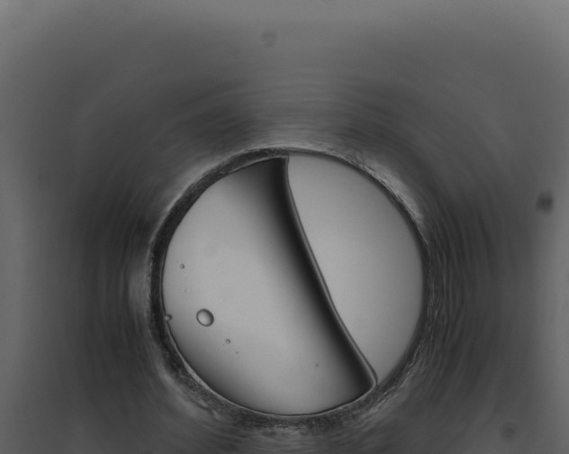 X0000094820580200711161030