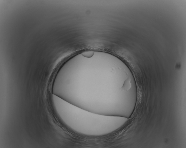 X0000094820583200711161030