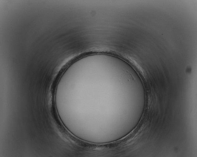 X0000094820584200711161030