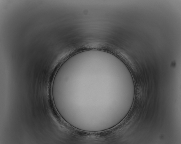 X0000094820586200711161030