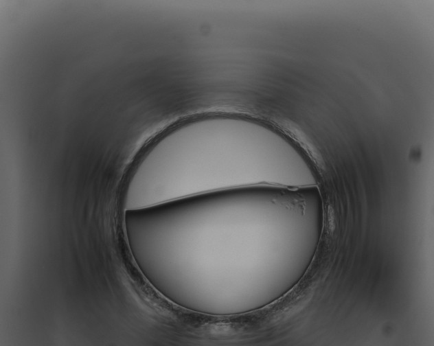 X0000094820588200711161030