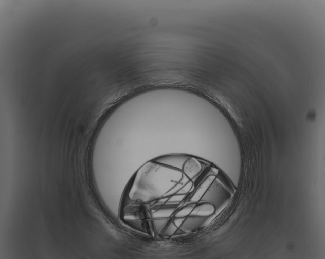 X0000094820589200711161030