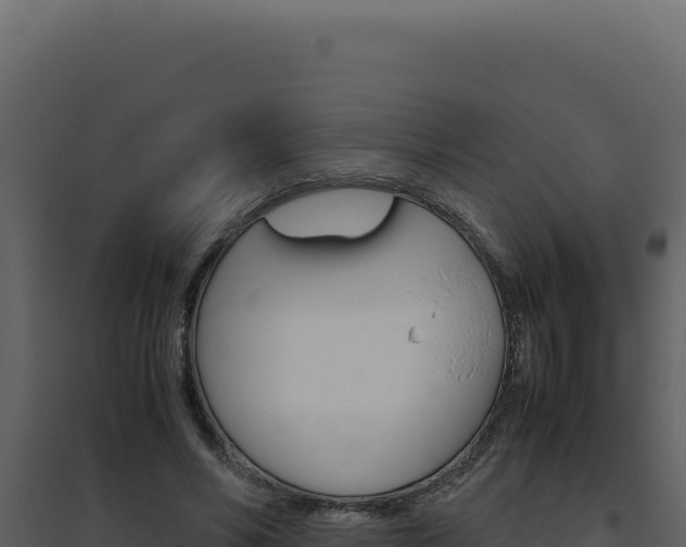 X0000094820590200711161030