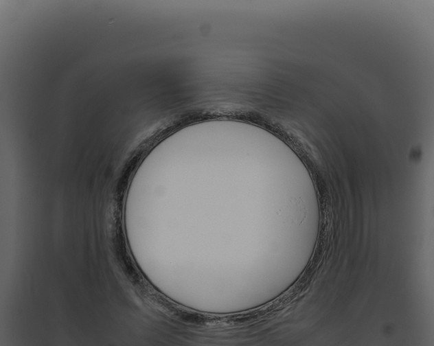 X0000094820591200711161030