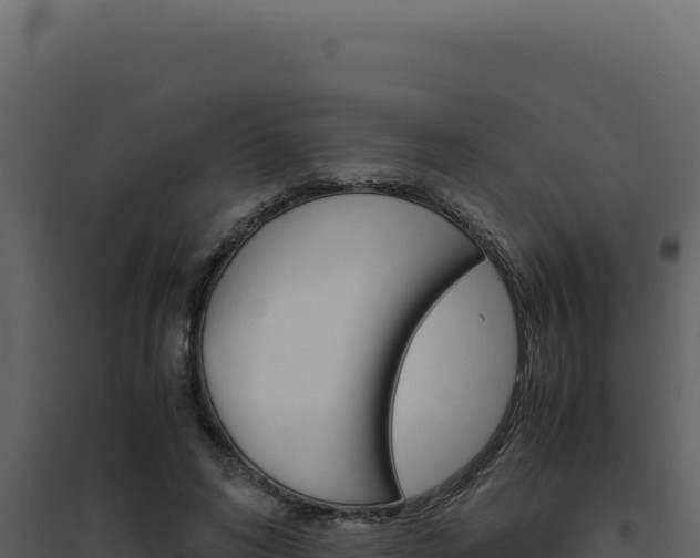 X0000094820592200711161030