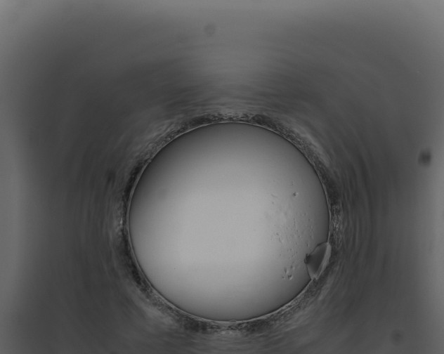 X0000094820593200711161030