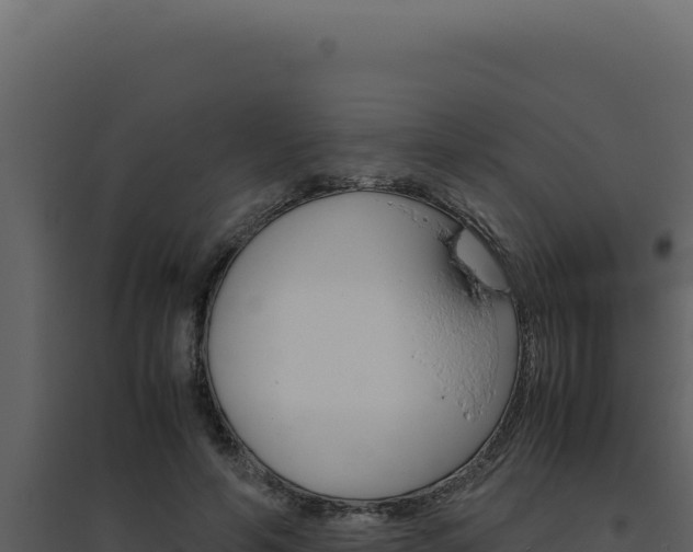 X0000094820594200711161030