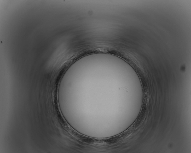 X0000094820595200711161030