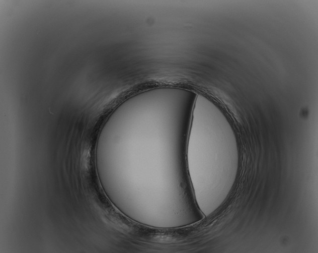X0000094820596200711161030