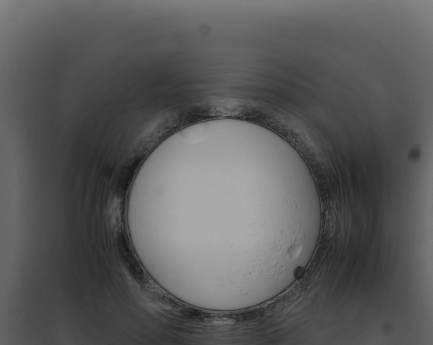 X0000094820598200711161030