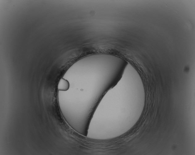 X0000094820599200711161030