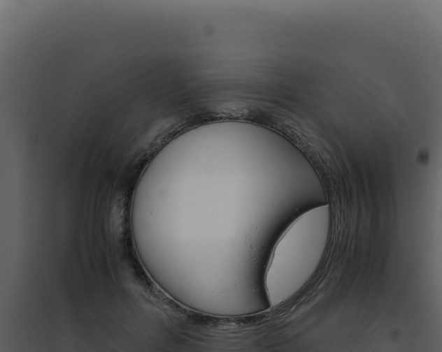 X0000094820600200711161030