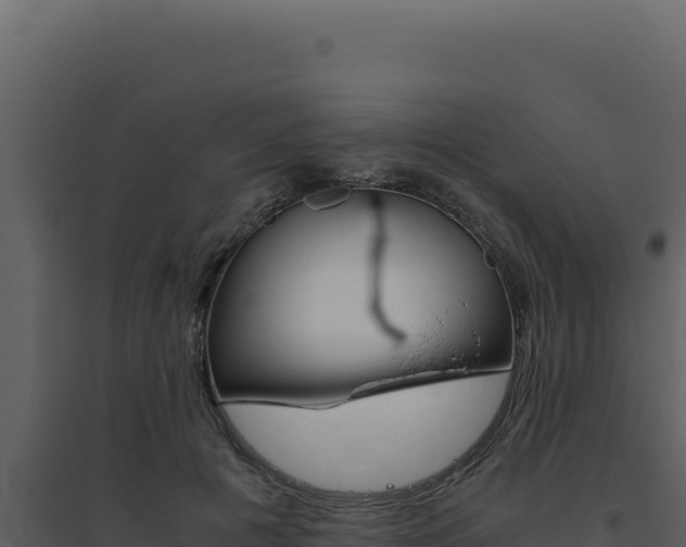 X0000094820601200711161030