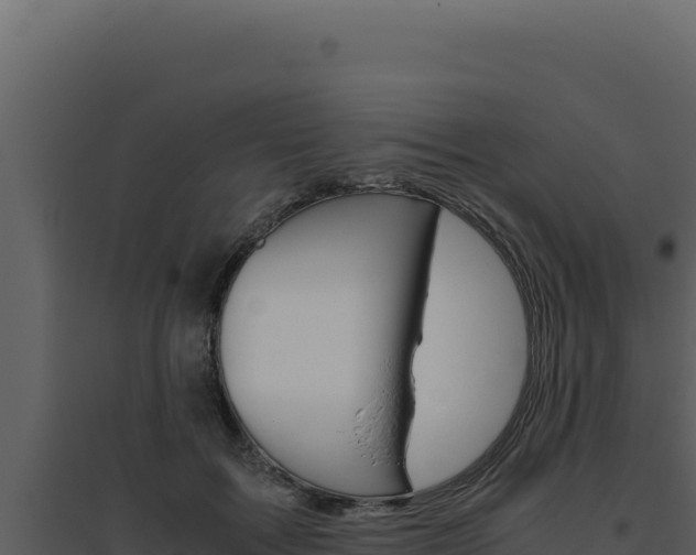X0000094820603200711161030